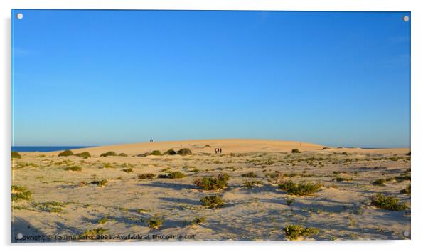 Sunset over the sand dunes. Corralejo Acrylic by Paulina Sator