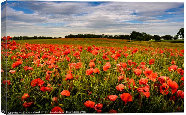 Lest We Forget Canvas Print by Dick Lloyd