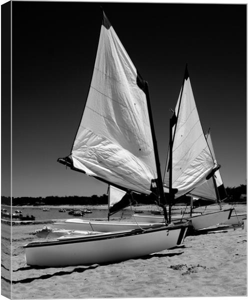 boats parked on beach Canvas Print by youri Mahieu