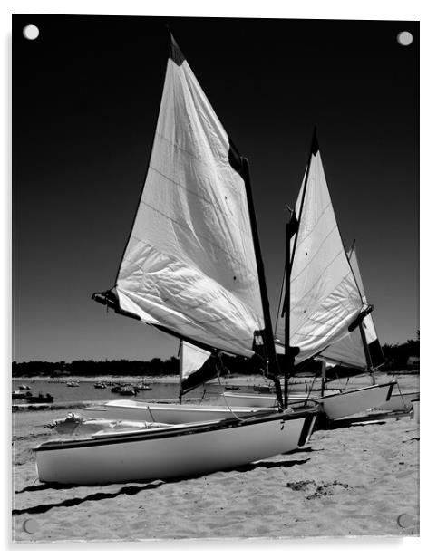 boats parked on beach Acrylic by youri Mahieu