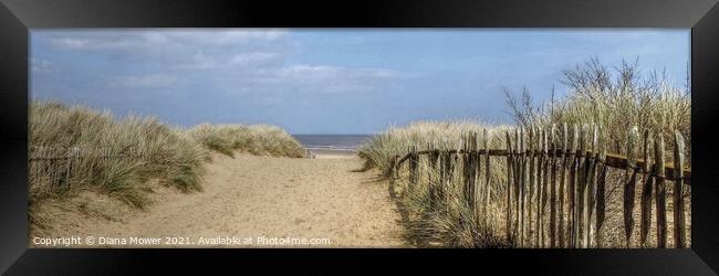 Mablethorpe beach Path panoramic Framed Print by Diana Mower