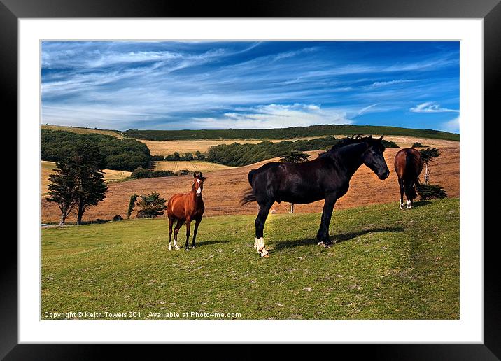 Horses Grazing Canvases & Prints Framed Mounted Print by Keith Towers Canvases & Prints