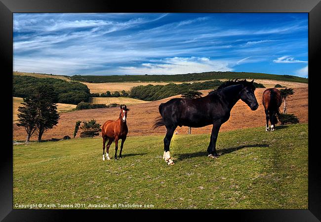 Horses Grazing Canvases & Prints Framed Print by Keith Towers Canvases & Prints