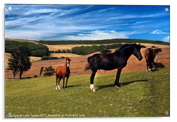 Horses Grazing Canvases & Prints Acrylic by Keith Towers Canvases & Prints