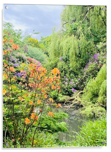 The Quarry Gardens Shrewsbury Shropshire  Acrylic by Ailsa Darragh
