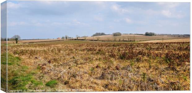 Lincolnshire Countryside Landscape Canvas Print by Diana Mower
