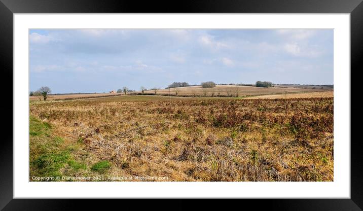 Lincolnshire Countryside Landscape Framed Mounted Print by Diana Mower