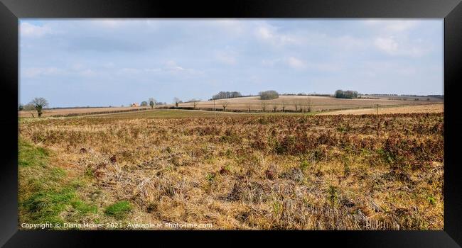 Lincolnshire Countryside Landscape Framed Print by Diana Mower