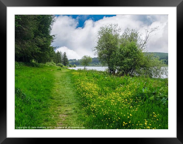 Path to the Water Framed Mounted Print by Jane Metters