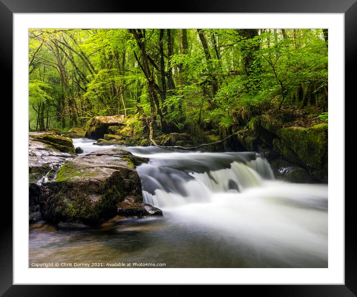 Cascade at Golitha Falls in Cornwall, UK Framed Mounted Print by Chris Dorney