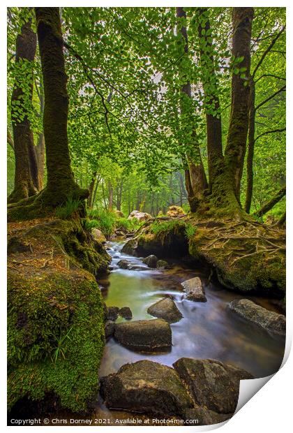 Stream off of the River Fowey in Cornwall, UK Print by Chris Dorney