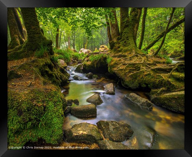 Stream off of the River Fowey in Cornwall, UK Framed Print by Chris Dorney
