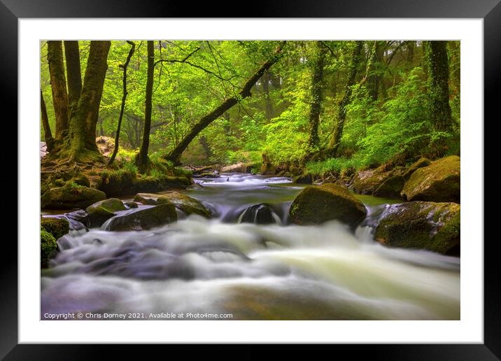 Cascade at Golitha Falls in Cornwall, UK Framed Mounted Print by Chris Dorney