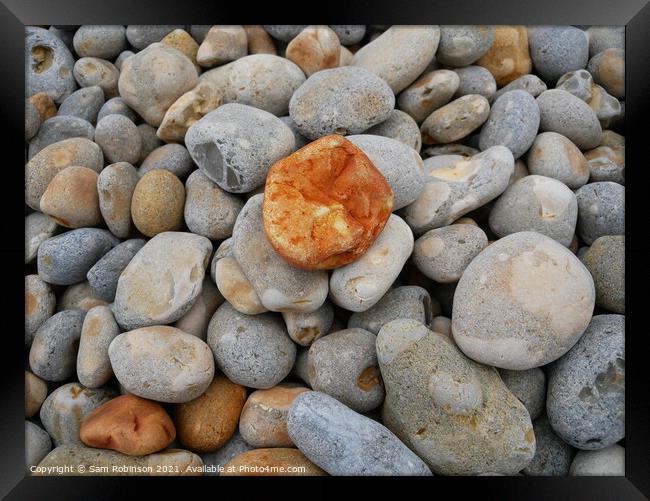 Orange Pebble on the beach Framed Print by Sam Robinson