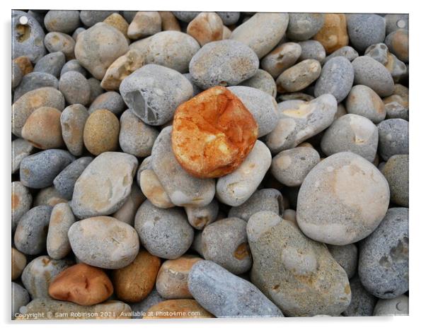 Orange Pebble on the beach Acrylic by Sam Robinson