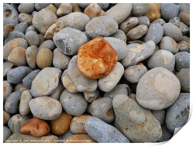 Orange Pebble on the beach Print by Sam Robinson