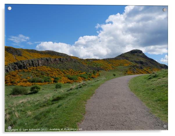 View of Arthurs Seat, Edinburgh Acrylic by Sam Robinson