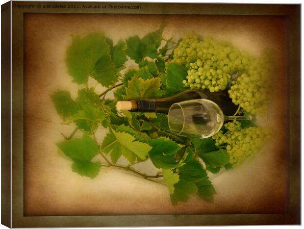 white wine and grapes Canvas Print by sue davies