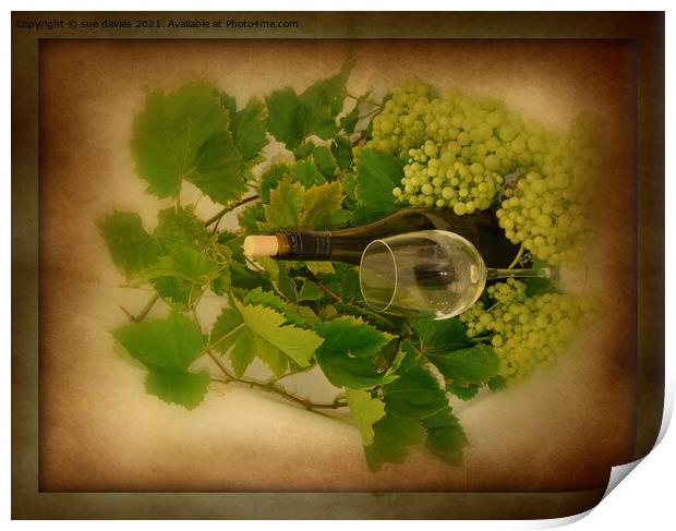 white wine and grapes Print by sue davies