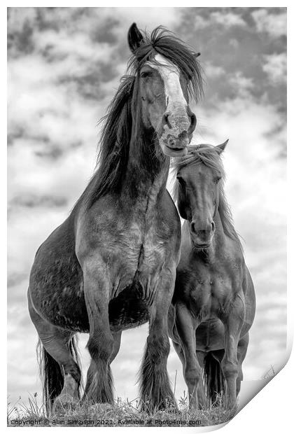 Wild Scottish Horses Print by Alan Simpson