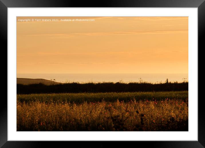 Cornish Summer Sunset Framed Mounted Print by Terri Waters