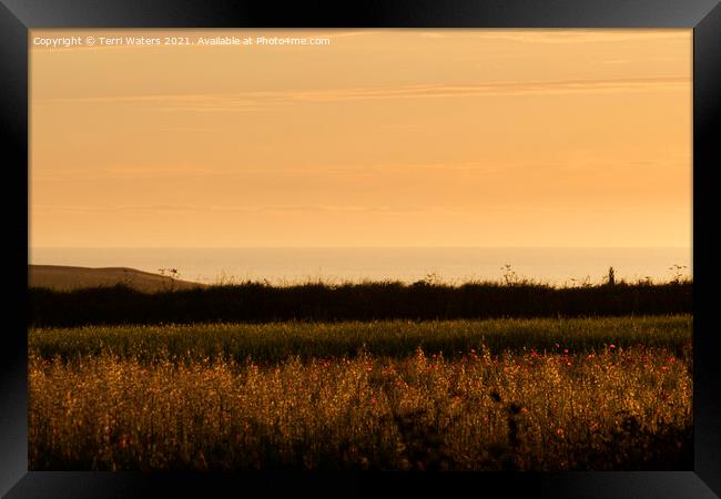 Cornish Summer Sunset Framed Print by Terri Waters