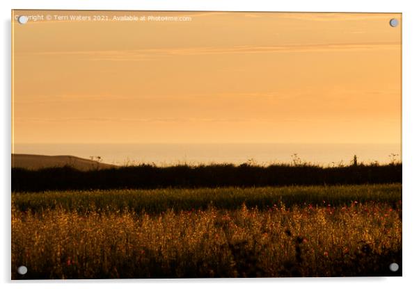 Cornish Summer Sunset Acrylic by Terri Waters