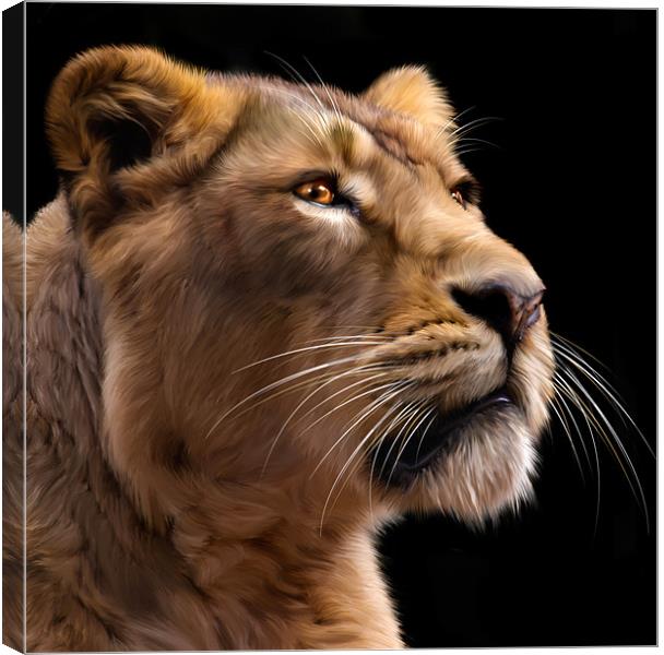 Lioness 2 Canvas Print by Mike Gorton