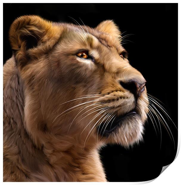 Lioness 2 Print by Mike Gorton