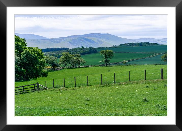Rural Northumberland Framed Mounted Print by Beata Aldridge