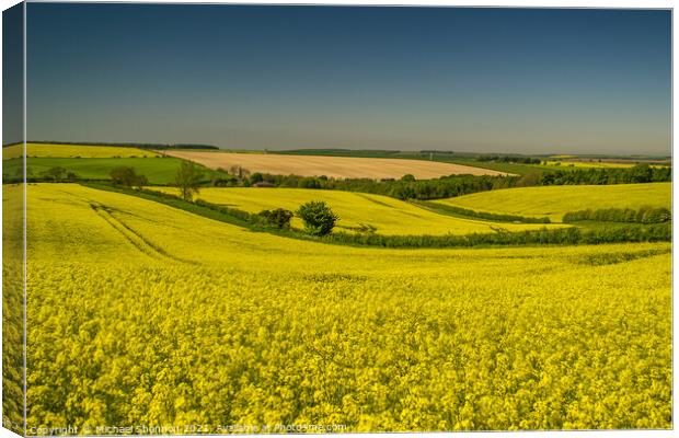 Yorkshire Wolds, Kirby Grindalythe Canvas Print by Michael Shannon
