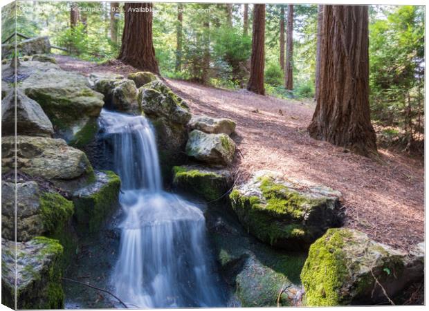 Woodland Waterfall Canvas Print by Mark Campion