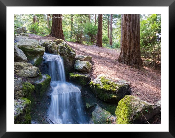 Woodland Waterfall Framed Mounted Print by Mark Campion