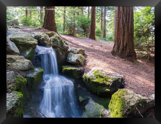 Woodland Waterfall Framed Print by Mark Campion