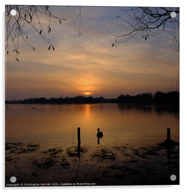 Lakeside sunset Acrylic by Christopher Murratt