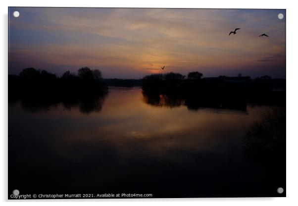 Sunset at Attenborough  Acrylic by Christopher Murratt
