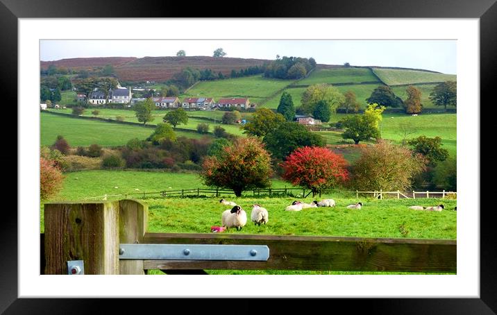 Danby Rowan Trees Framed Mounted Print by BARBARA RAW