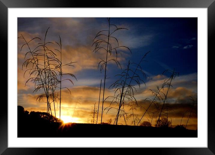 A Frosty Sunrise On Danby Moor, North Yorkshire Framed Mounted Print by BARBARA RAW