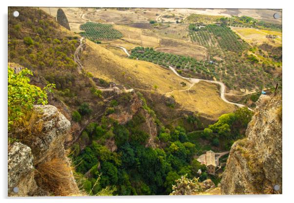 Scenic Andalusian landscapes near Ronda, Spain Acrylic by Elijah Lovkoff