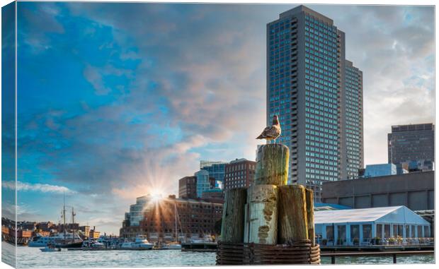Scenic Boston Harbor and city views Canvas Print by Elijah Lovkoff
