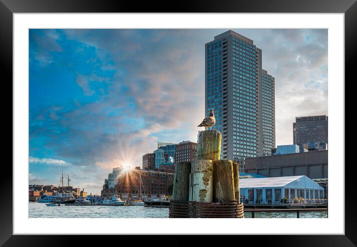 Scenic Boston Harbor and city views Framed Mounted Print by Elijah Lovkoff