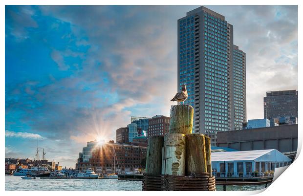 Scenic Boston Harbor and city views Print by Elijah Lovkoff