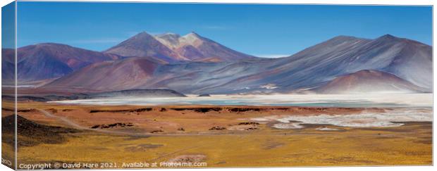 Atacama Salt Lakes Panorama Canvas Print by David Hare
