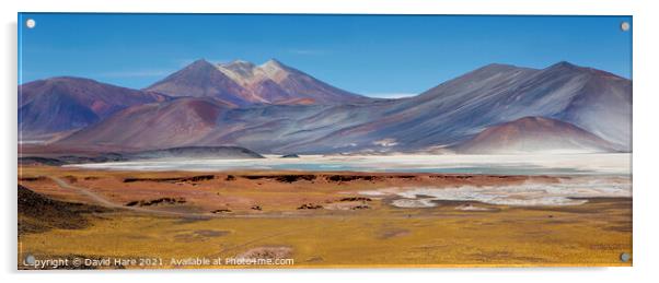 Atacama Salt Lakes Panorama Acrylic by David Hare