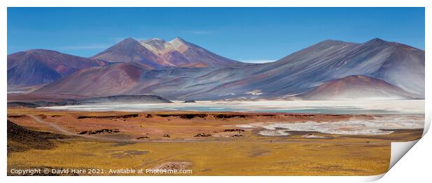 Atacama Salt Lakes Panorama Print by David Hare