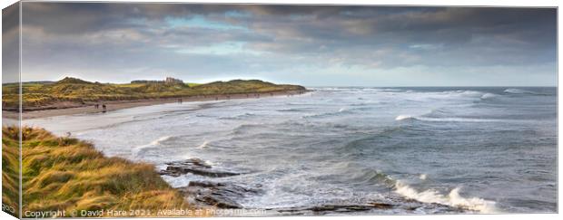 Nothumbrian Beach Panorama Canvas Print by David Hare