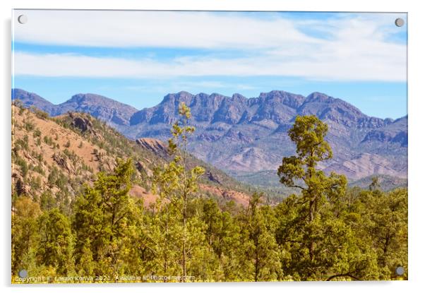 Heysen Range - Wilpena Pound Acrylic by Laszlo Konya