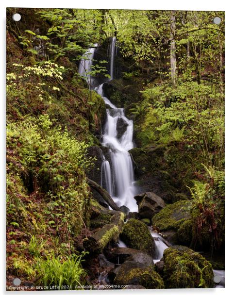 Dartmoor Woodland Waterfallo Acrylic by Bruce Little