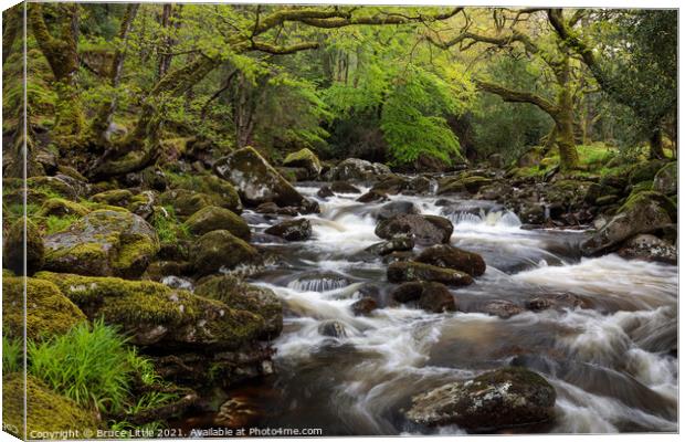Dartmoor woodland spring rapids Canvas Print by Bruce Little
