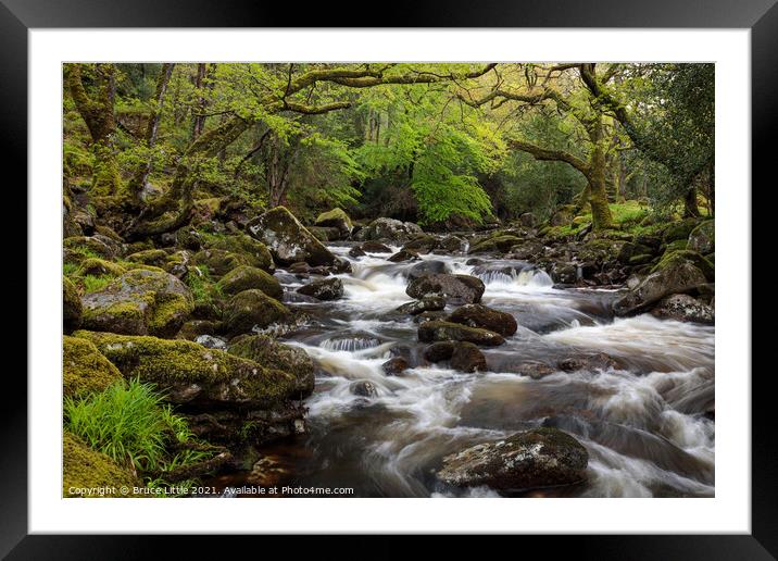 Dartmoor woodland spring rapids Framed Mounted Print by Bruce Little